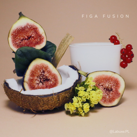 Figa fusion